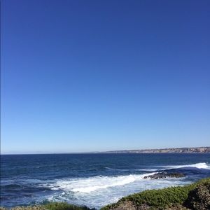 Meet your Posher, Carrie